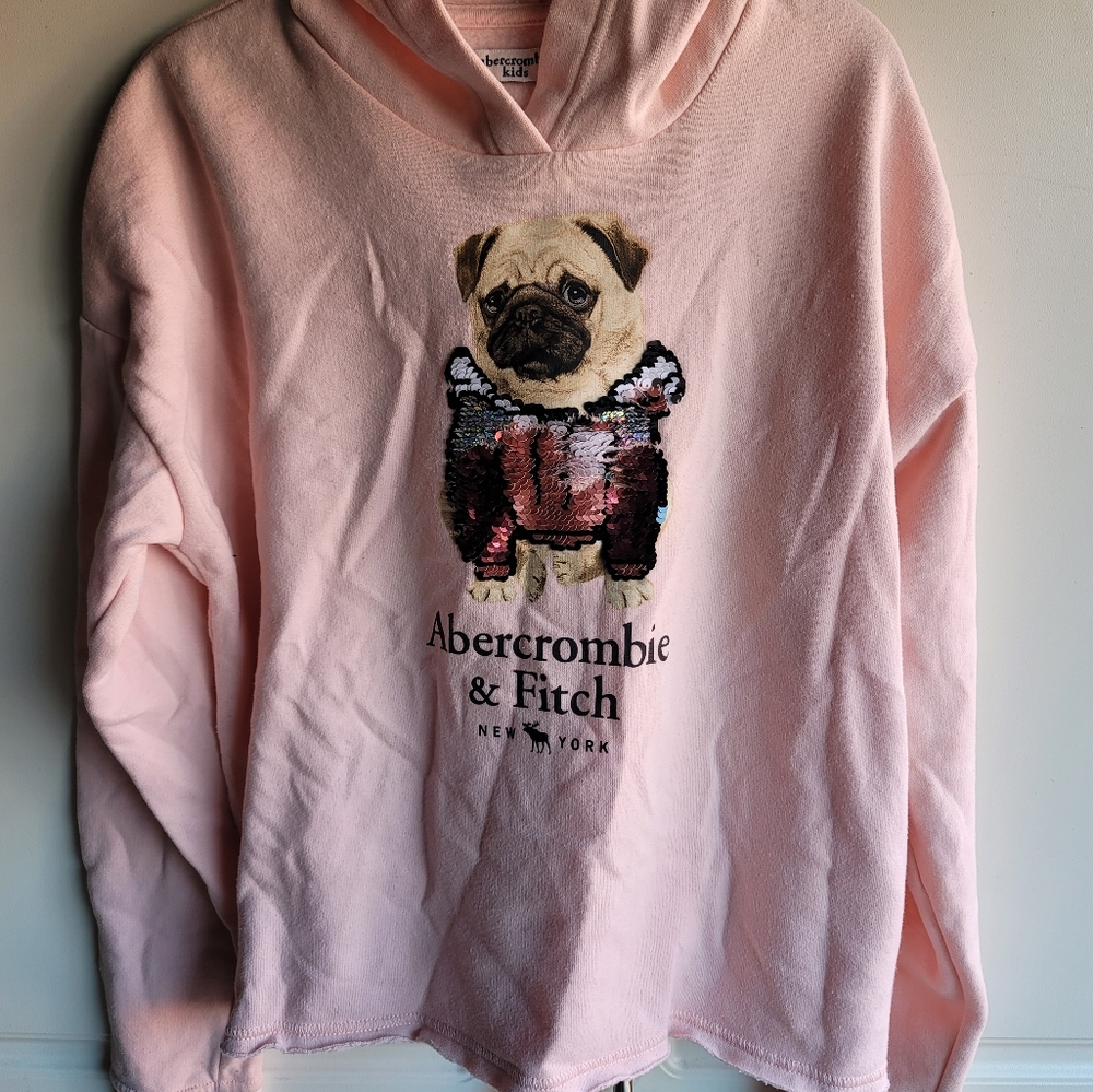 Abercrombie Kids Dog Hoodie Sweatshirt 15/16